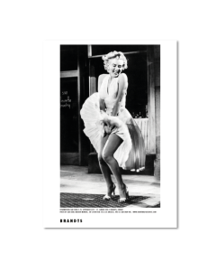 BrandtsSHOP_samshaw-plakat3.png